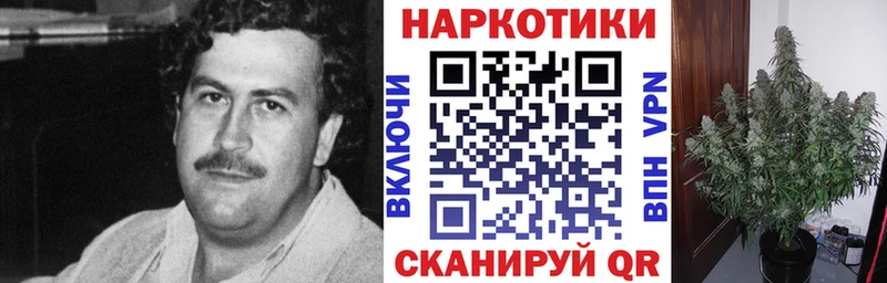 Виды наркоты Клинцы blacksprut зеркало  А ПВП  ГАШИШ  Мефедрон  Каннабис 